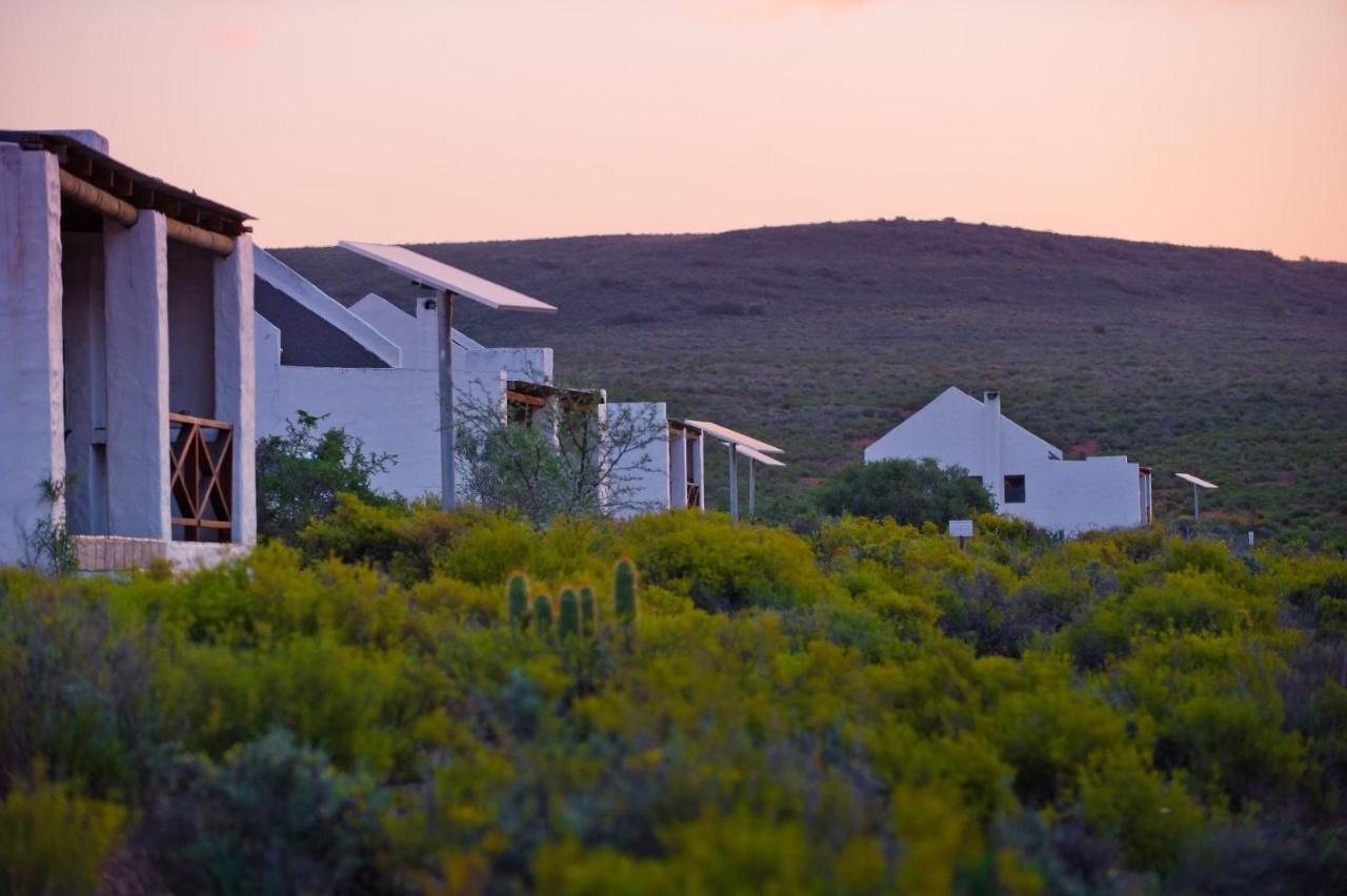 African Game Lodge Монтегю Экстерьер фото
