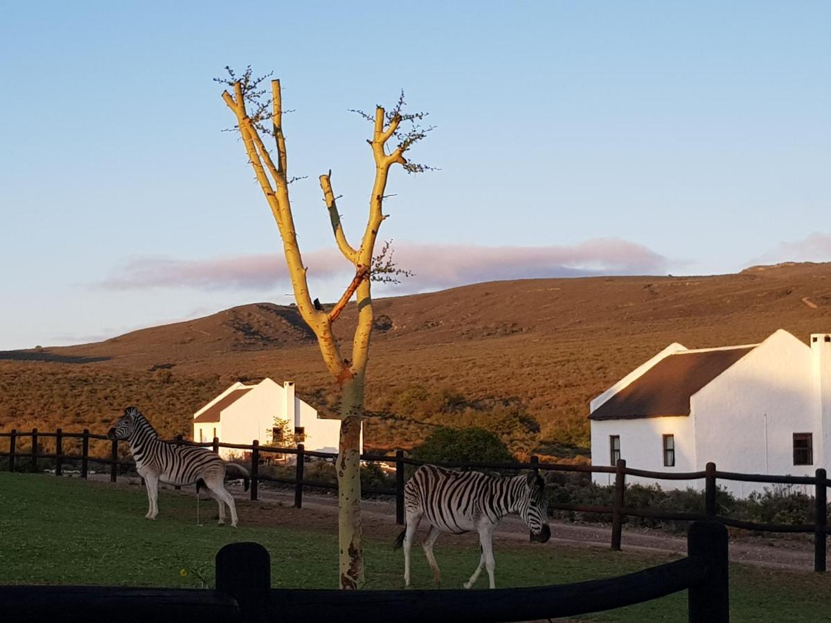 African Game Lodge Монтегю Экстерьер фото